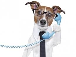 AllAboutRevel's profile picture. Check out https://t.co/Lx2LPWhblo for the BEST iPad POS in the WORLD.. RooF... RooF..