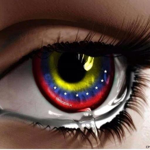 orlandotmv's profile picture. 