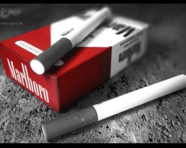 ss201195's profile picture. 