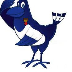 Major_Magpie's profile picture. Tweet Tweet.