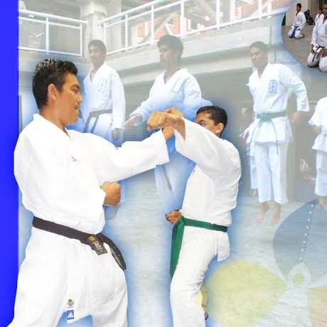 sensei de karate  do  deportista revolucionario chavista antiperialista y socialista