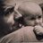 Winster_Luings's profile image