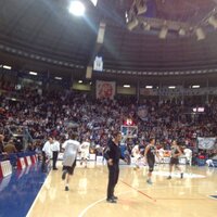 natale marzullo (@natalemarzullo) 's Twitter Profile