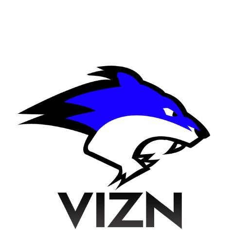 ViznTourneys's profile picture. 