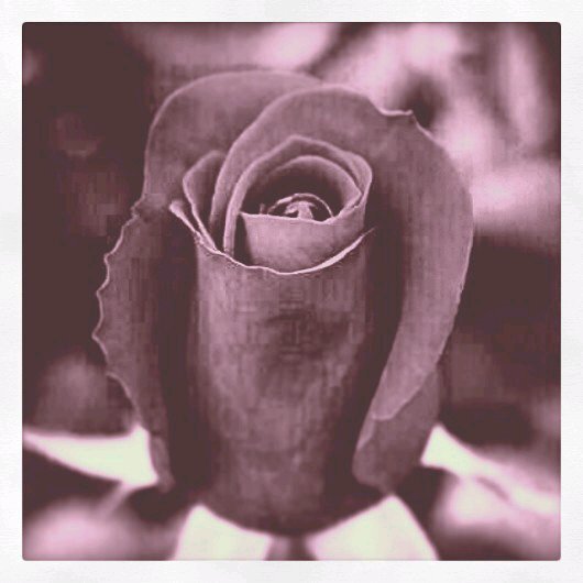 Nnaaa17's profile picture. hola;