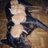 sylviejumeau59's profile image