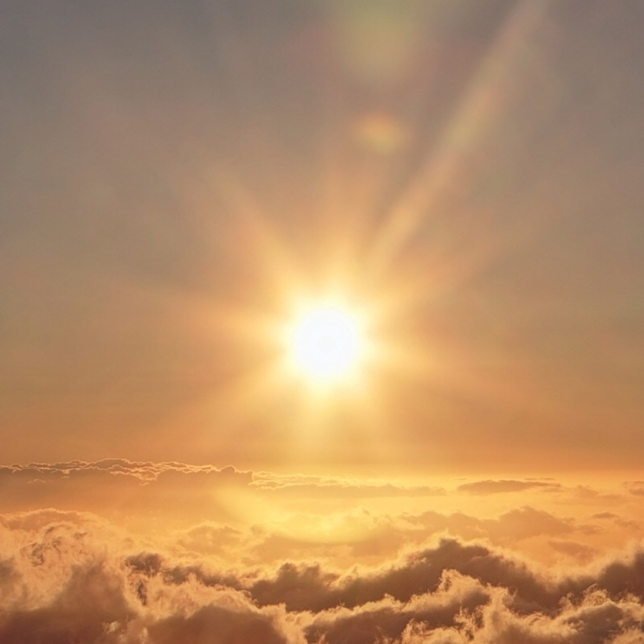 SalvationR's profile picture. 