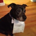 Aaron Peeler - @apeeler721 - Twitter