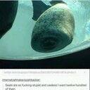 Caitlin Oboyle - @cait_obo22 - Twitter