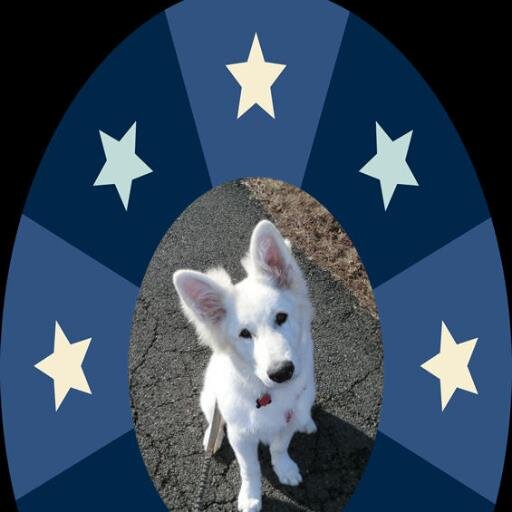 jstarr1444's profile picture. 