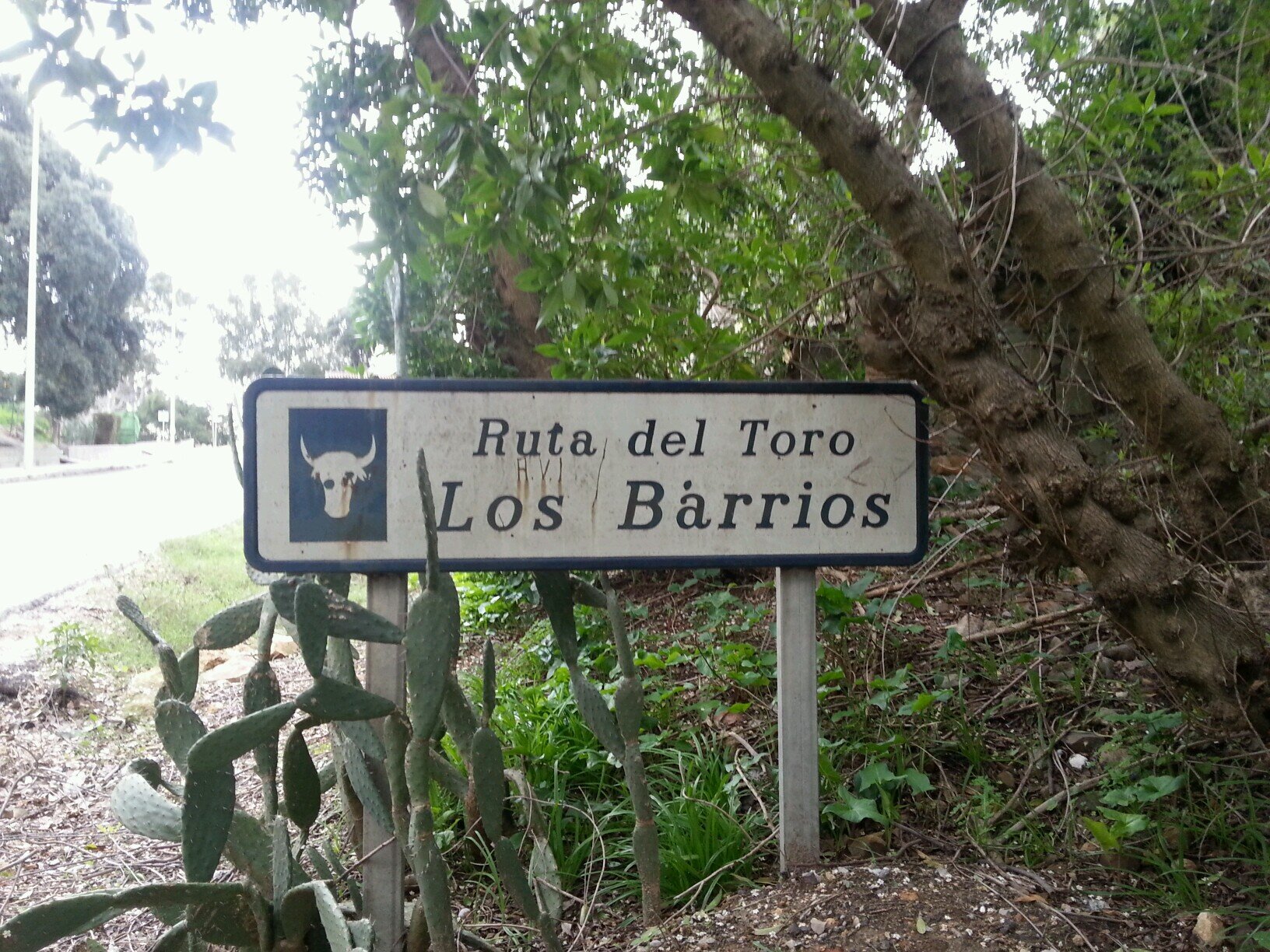 Abulaga54's profile picture. 