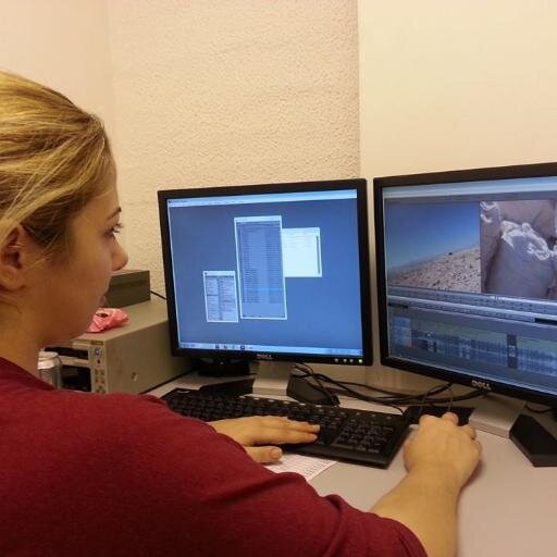 editor