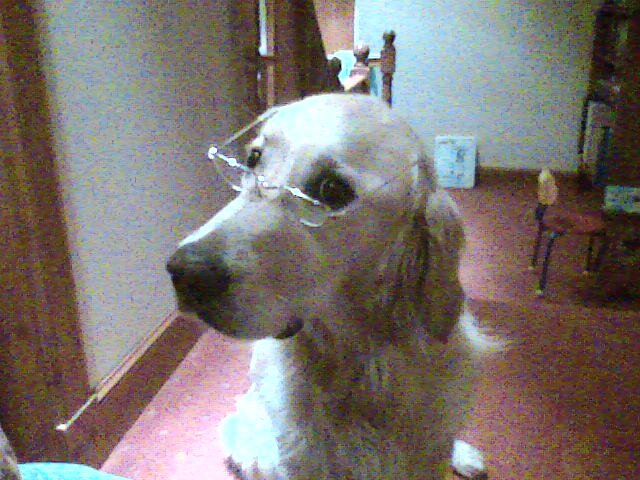 David_LTucker's profile picture. 