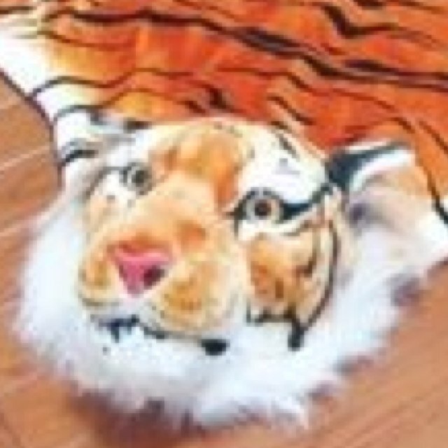 とらさんのプロフィール画像