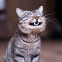 Owen Horne OP - @horne_owen - Twitter