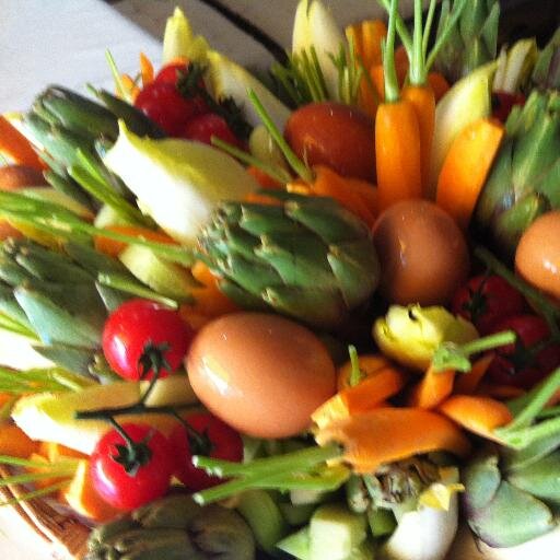Petit Resto du midi /Terrasse au Soleil /Rue Piétonne /Fait maison /Produits frais