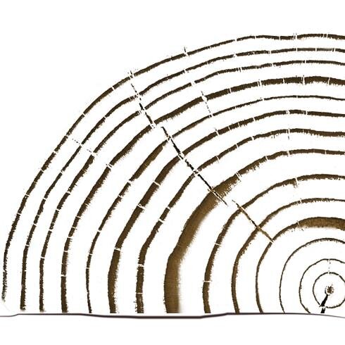 Gartenzäune, Hochbeete und Pflanzkästen. Wir twittern zum Thema Garten und Bauen und Garten im Netz und Holz. Impressum: http://t.co/6cN6jAsvAp