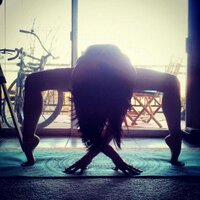 Shannon Haley - @ShannnYOGI Twitter Profile Photo