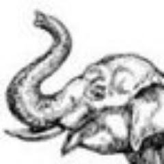 writer, cyclist, swimmer, trekker, SF fan