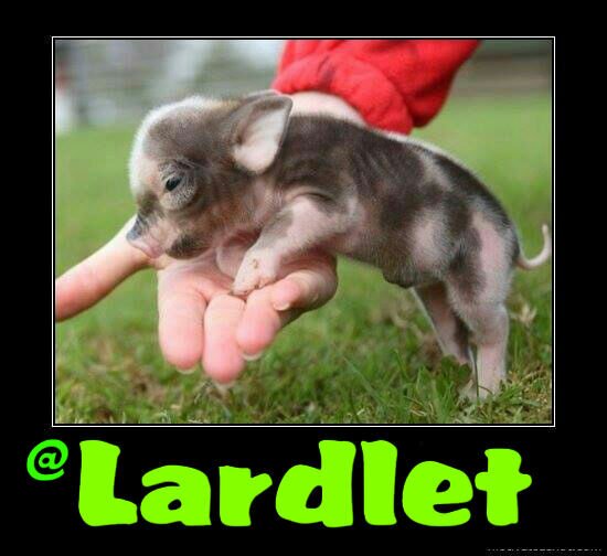 Lardlet's profile picture. Adding a little fat to your funny bone!