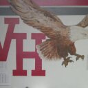 Janelle North - @JanelleNorth - Twitter