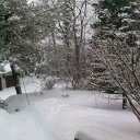 Deb Pierce - @piercelinks - Twitter