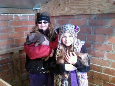 cack4701's profile picture. 