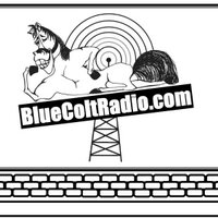 Blue Colt Radio (@bluecoltradio1) Twitter profile photo
