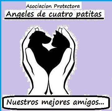 Vicepresidenta en Asociaciòn Protectora ANGELES DE 4 PATITAS, porque naci amando los animales y voy a luchar por ellos SIEMPRE