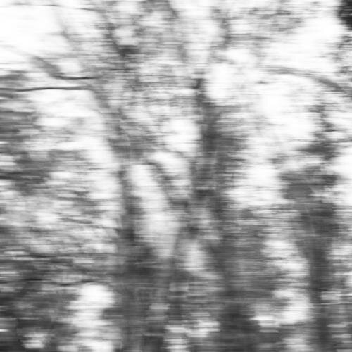 ForageesvsAggie's profile picture. Ran by your fellow foragers! Shareileen, Chloe, Darren, and Ryon.

                          #Forgies4lyfe