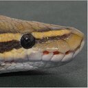 Owen dudley - @DudleyOwenluc - Twitter