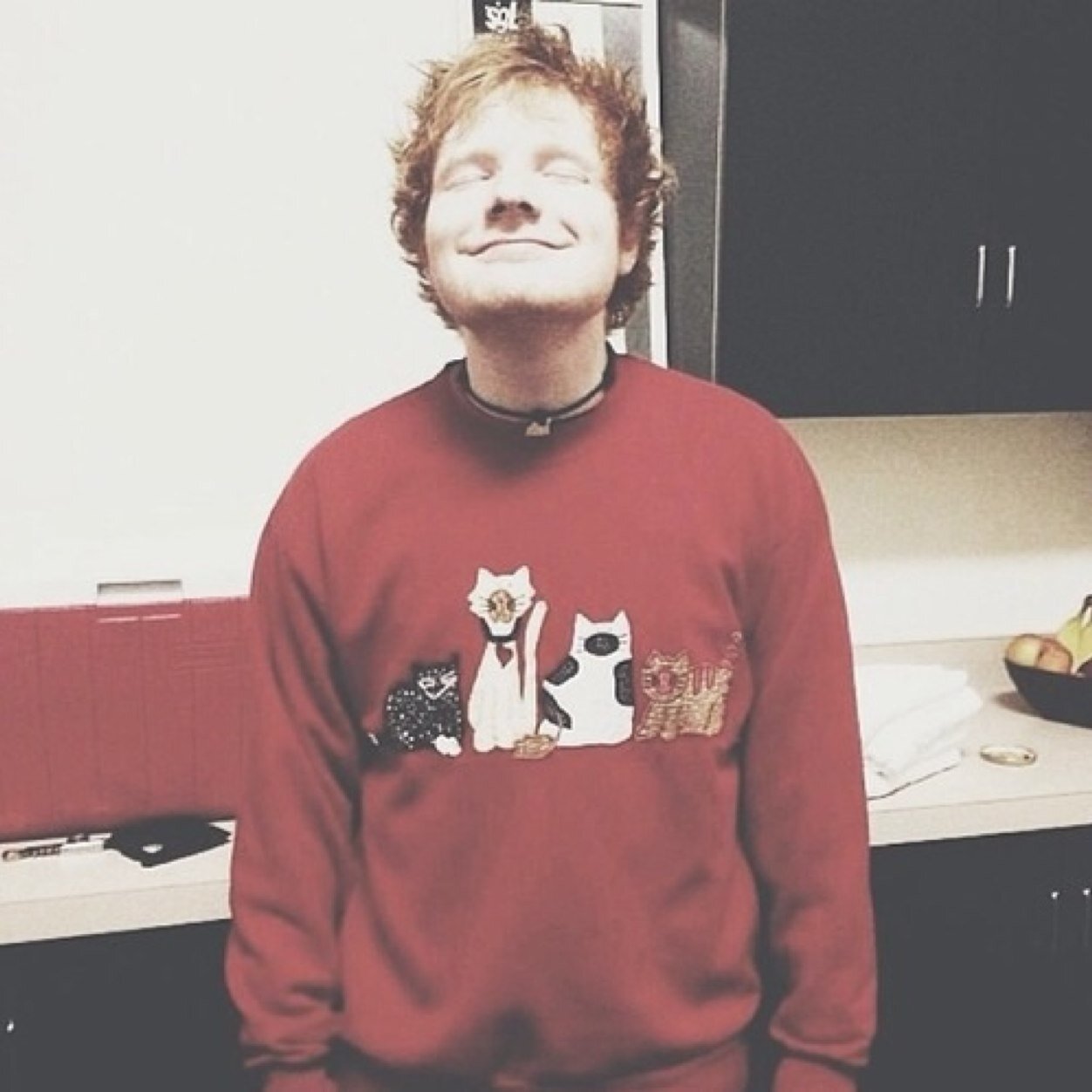 SheeriosBrasil Profile Picture