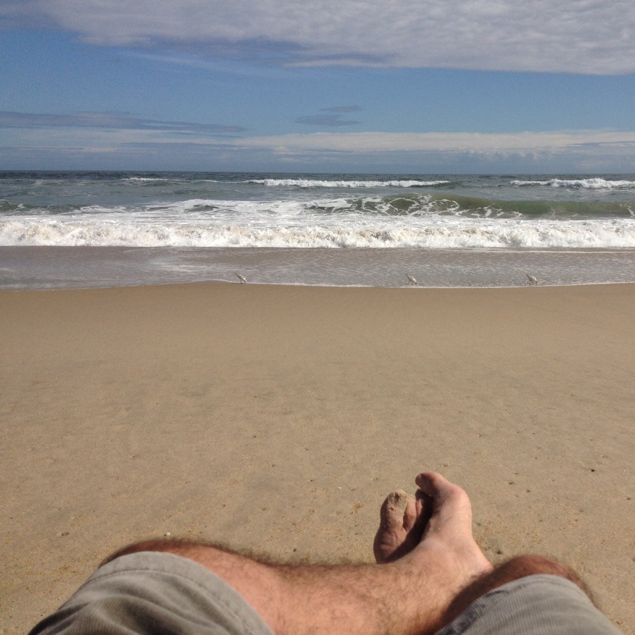 Cspano11's profile picture. 