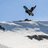 snowboardconfes's profile image
