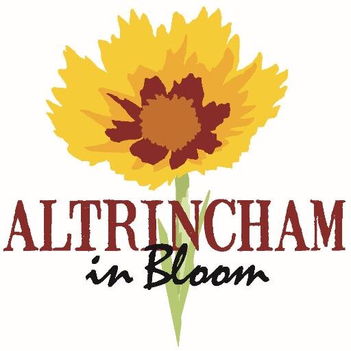 🏳️‍🌈AltrinchamInBloom 🐝