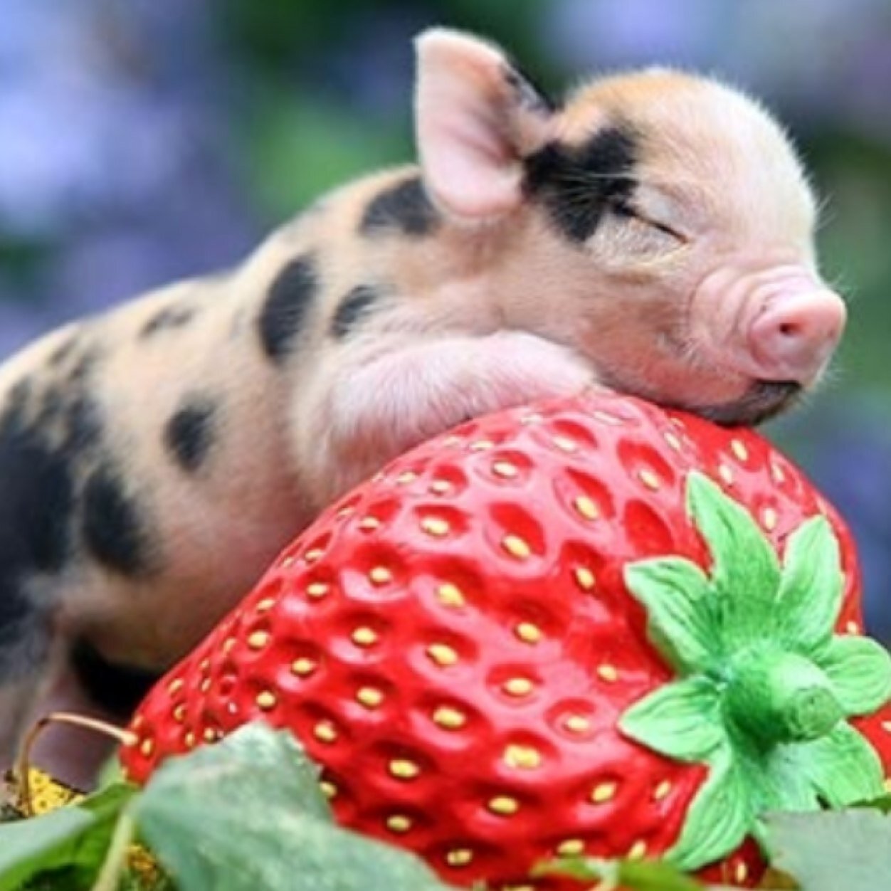 JayneJames2's profile picture. 