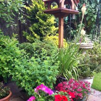 Graham Large (@largegraham) 's Twitter Profile