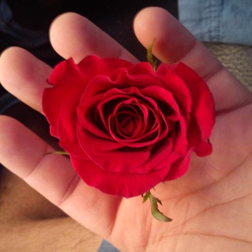 AuxyLaguna's profile picture. Mamá de 3 y abuela de 2. Asesor Inmobiliario