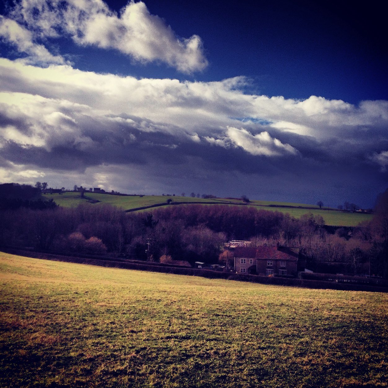 savecuckoohill's profile picture. 