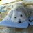 dogatom0717's profile image