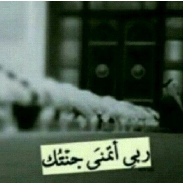 هذا حساب لي ولـصديقة عمري (ربي يحفظها)، مخصص لنشر الأدعيه والأذكار ، لعله يكون لنا شفيعا يوم القيامه أن شاءالله