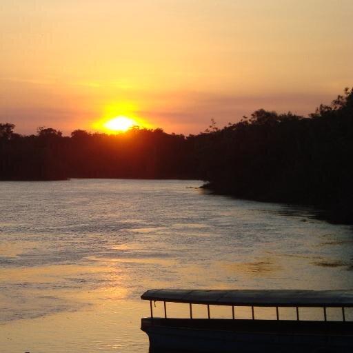 Rossmarygs's profile picture. 