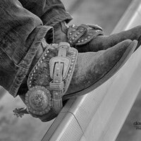 Equestrian Life (@equineshowlife) Twitter profile photo