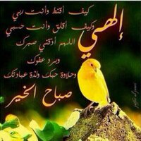 hasan (@abowaleed111111) Twitter profile photo