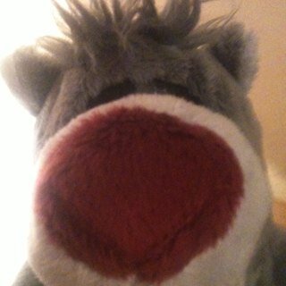 Mave13965773's profile picture. Maria