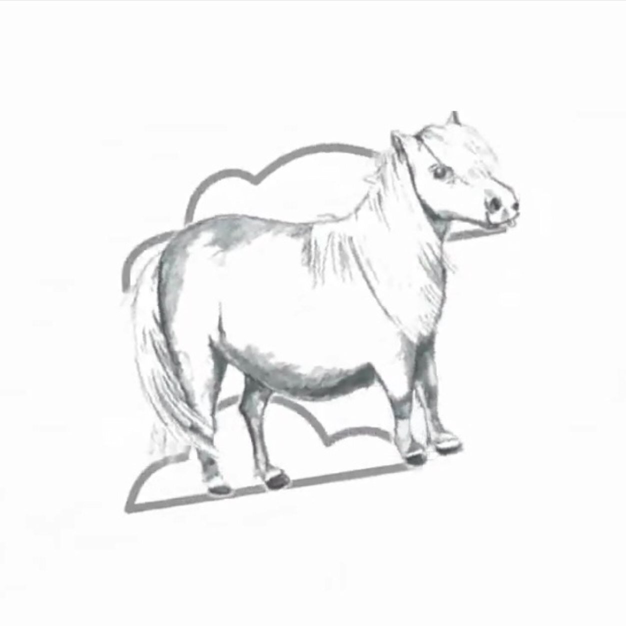 I dont have a website yet, check me out on youtube at TheMunchingPony