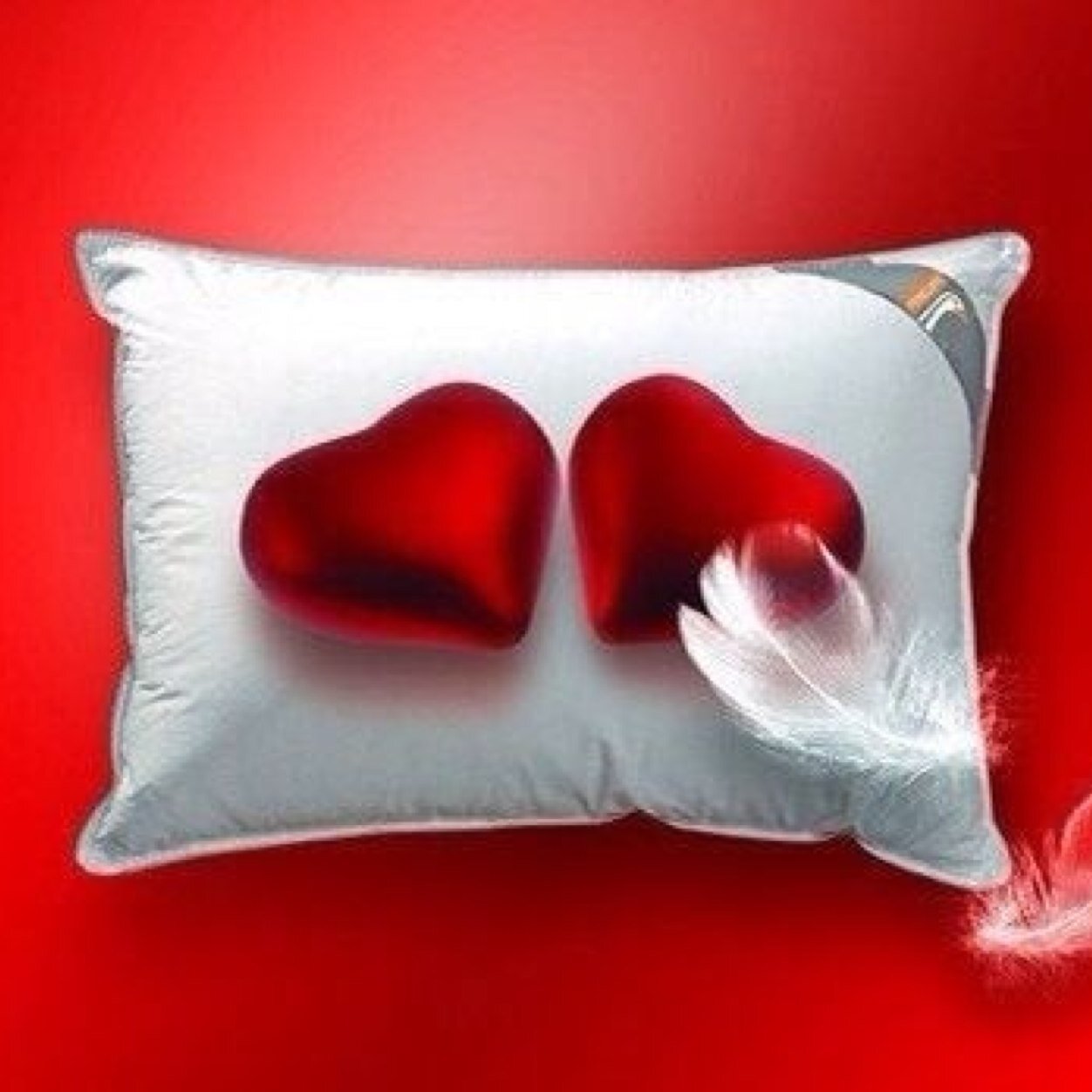 mh_hm_mh's profile picture. 