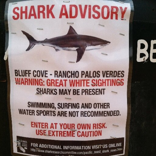 EddyB66's profile picture. If its breaking, go