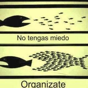 100%Venezolana