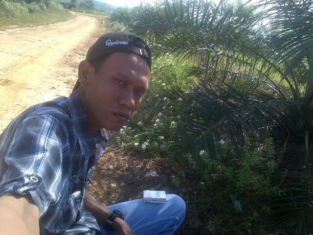 Kerja di PT. Brondolan